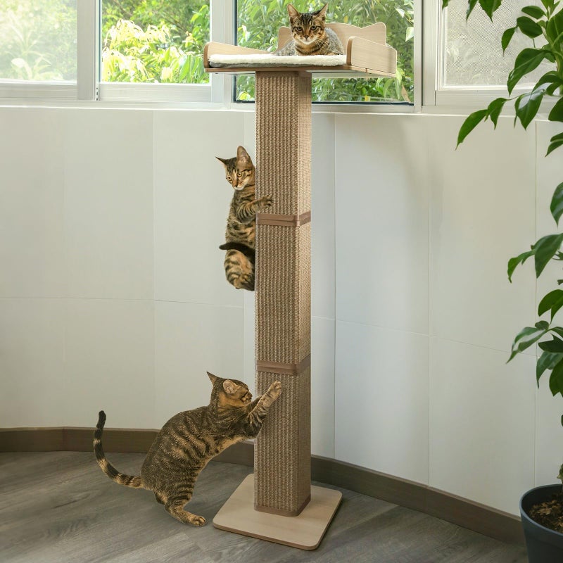 GreenPetopia Cat Window Perch with Thick Sisal Scratching Post, Cat Hammock for Window, 53.5" Adjustable Tall Cats Scratching Post with 2 Upgrade Suction Cups, Cats Window Bed with Fluffy Cushion, Jute - Image 1