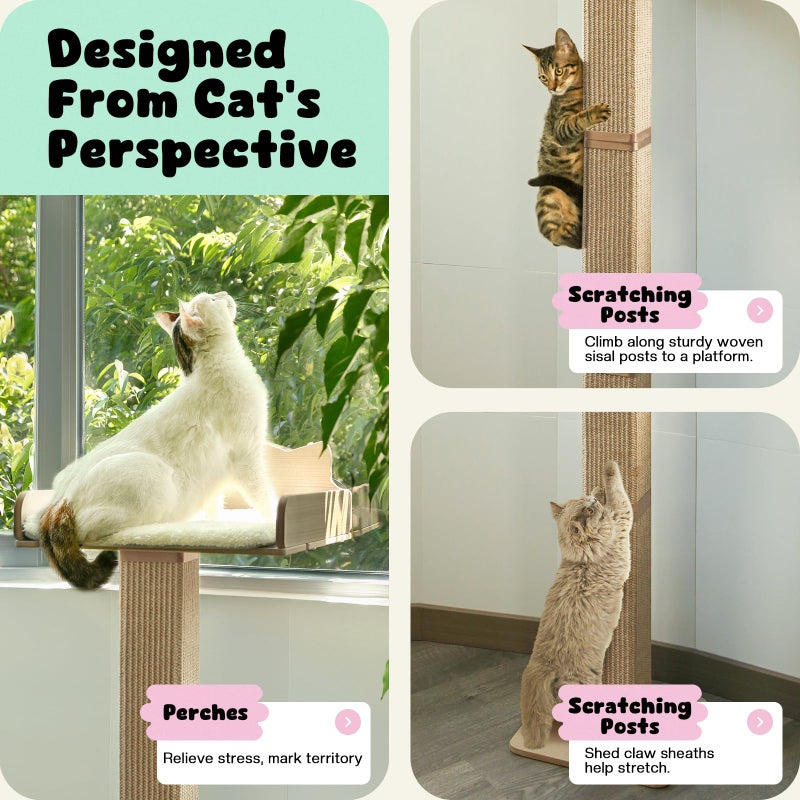GreenPetopia Cat Window Perch with Thick Sisal Scratching Post, Cat Hammock for Window, 53.5" Adjustable Tall Cats Scratching Post with 2 Upgrade Suction Cups, Cats Window Bed with Fluffy Cushion, Jute - Image 2