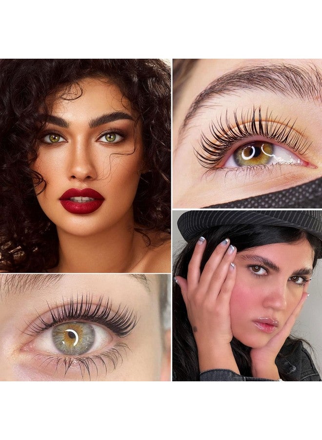 PERMANIA مجموعة رفع الرموش باللون الأسود، تصفيح سريع للرموش والحواجب، تلوين أسود طبيعي لمدة 15 دقيقة، نتائج في تعزيز الرموش والبرايمر (أسود) - Image 3