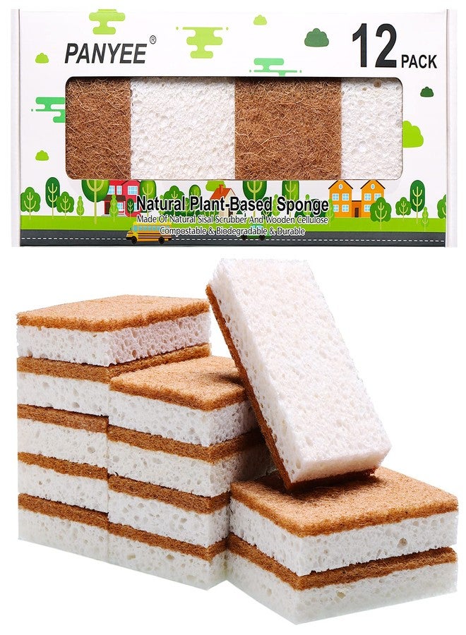 PANYEE Natural Sponge Kitchen 12Pack,Eco Friendly Non-Scratch Scrub Sponge,Biodegradable Sisal Scrubber with Compostable Kitchen Sponges for Dishes Cleaning… - Image 1