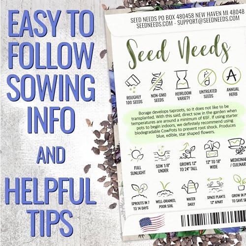 Seed Needs بذور البوراج من Seed Needs لزراعة زهور النجمة الزرقاء - وراثية غير معدلة وراثيًا وغير معالجة - ازرع حديقة أعشاب مزهرة منزلية تجذب النحل والفراشات وغيرها من الملقحات (1 عبوة) - Image 3