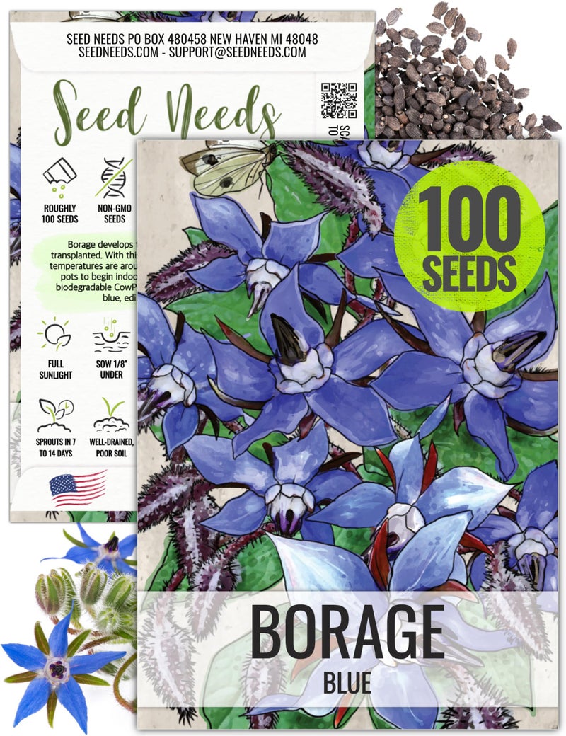 Seed Needs بذور البوراج من Seed Needs لزراعة زهور النجمة الزرقاء - وراثية غير معدلة وراثيًا وغير معالجة - ازرع حديقة أعشاب مزهرة منزلية تجذب النحل والفراشات وغيرها من الملقحات (1 عبوة) - Image 1