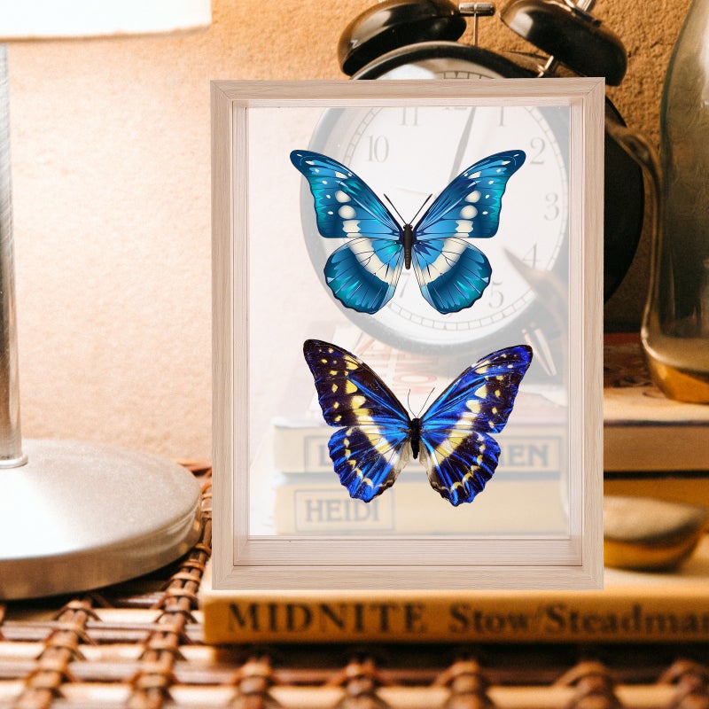 2pcs Shadow Box Display Frame Specimen Showing Frame Handicrafts Photo Frame - Image 3