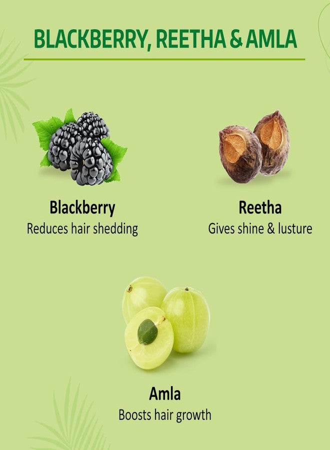 نايل شامبو نايل ناتشورالز فوليوم إينانس المضاد لتساقط الشعر، مع الريثا والتوت الأسود، 180 مل، (NYAM0180VE03R) - Image 3