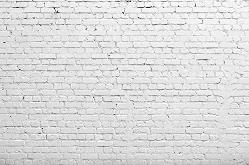 OUYIDA White Brick Wall Backdrop for Baby Shower Birthday Festival Themed Party Photography Background Adult Portrait Wallpaper Photo Video Shooting Studio Props 9X6FT PCK77C - Image 1