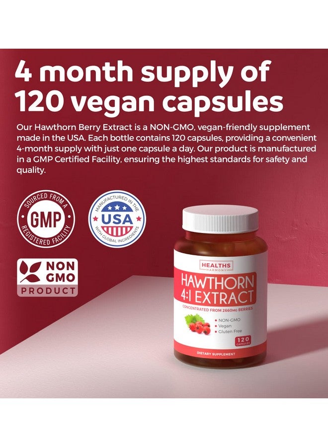 Healths Harmony Hawthorn Berry 4:1 Extract (120 Capsules) Supports Healthy Immune System Powerful Antioxidant Hawthorne Supplement (No Pills Or Powder) - Image 4