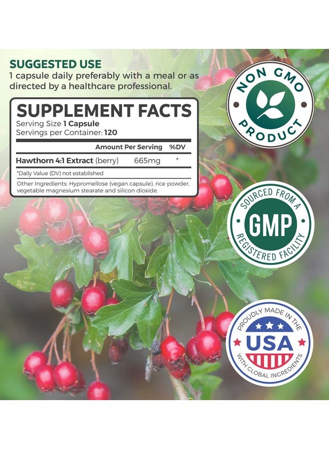 Healths Harmony Hawthorn Berry 4:1 Extract (120 Capsules) Supports Healthy Immune System Powerful Antioxidant Hawthorne Supplement (No Pills Or Powder) - Image 5