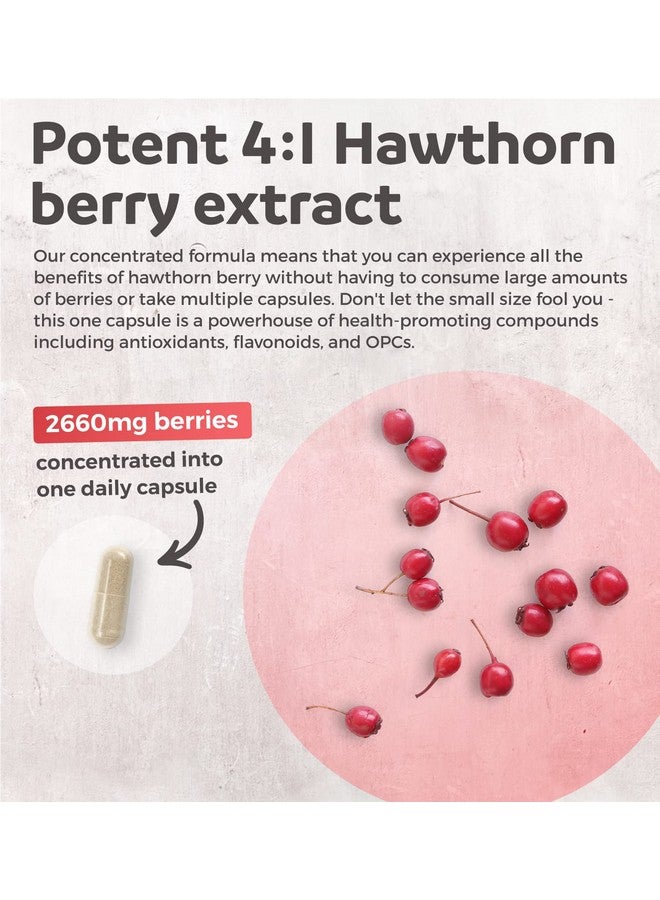 Healths Harmony Hawthorn Berry 4:1 Extract (120 Capsules) Supports Healthy Immune System Powerful Antioxidant Hawthorne Supplement (No Pills Or Powder) - Image 3