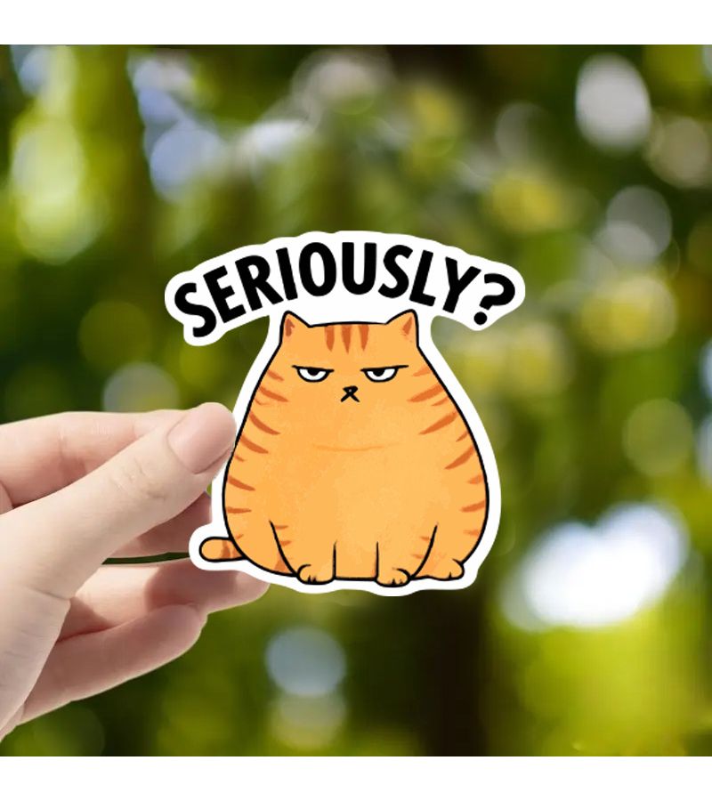Chubby Orange Cat Glossy Scratch Resistant Decals For Laptop Car Toolbox 1pc - Image 1