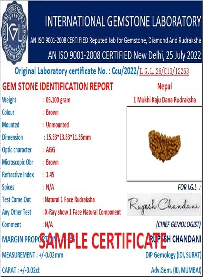 IRIS GEMS Ek Mukhi Rudraksha Kaju Dana rudraksha नैचरल एक मुखी चंद्र रुद्राक्ष Ardhchandra Original Rudraksha with Lab Certificate for Women Natural Brown Bead Half Moon Shape ek muka Rudra rudraksha - Image 5