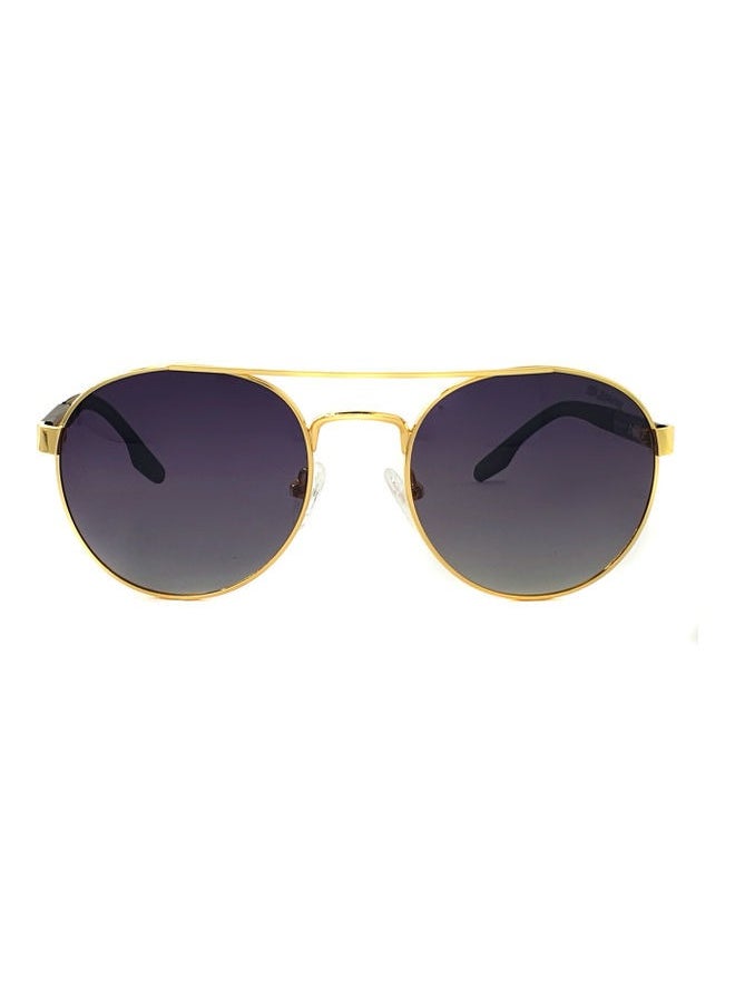 Aviator Sunglasses - pzsku/Z1D84BF31BDB5A1B3F392Z/45/_/1733309492/6cfcdeff-c1b4-4a54-8a13-574a46723147