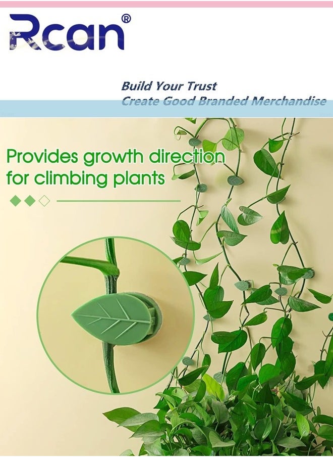 Rcan 50 Pieces Plant Climbing Wall Fixture Clips with Acrylic Adhesive Sticker Plant Fixer Invisible Wall Vines Fixing Clips Self Adhesive Hook Plant Vine Traction for Indoor Outdoor Decoration  - Image 3