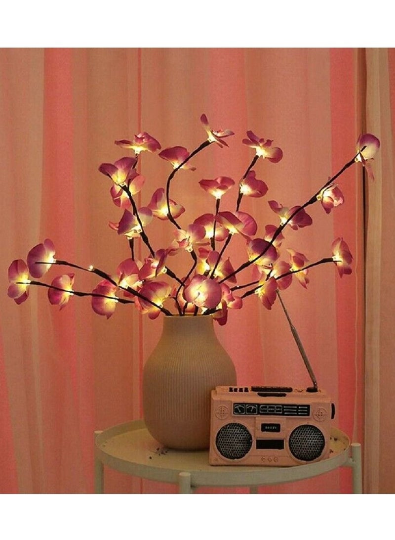 سلة عدد 2 من أغصان ورود الأوركيد لون وردي مع إضاءة دافئة لديكور المنزل - Image 3