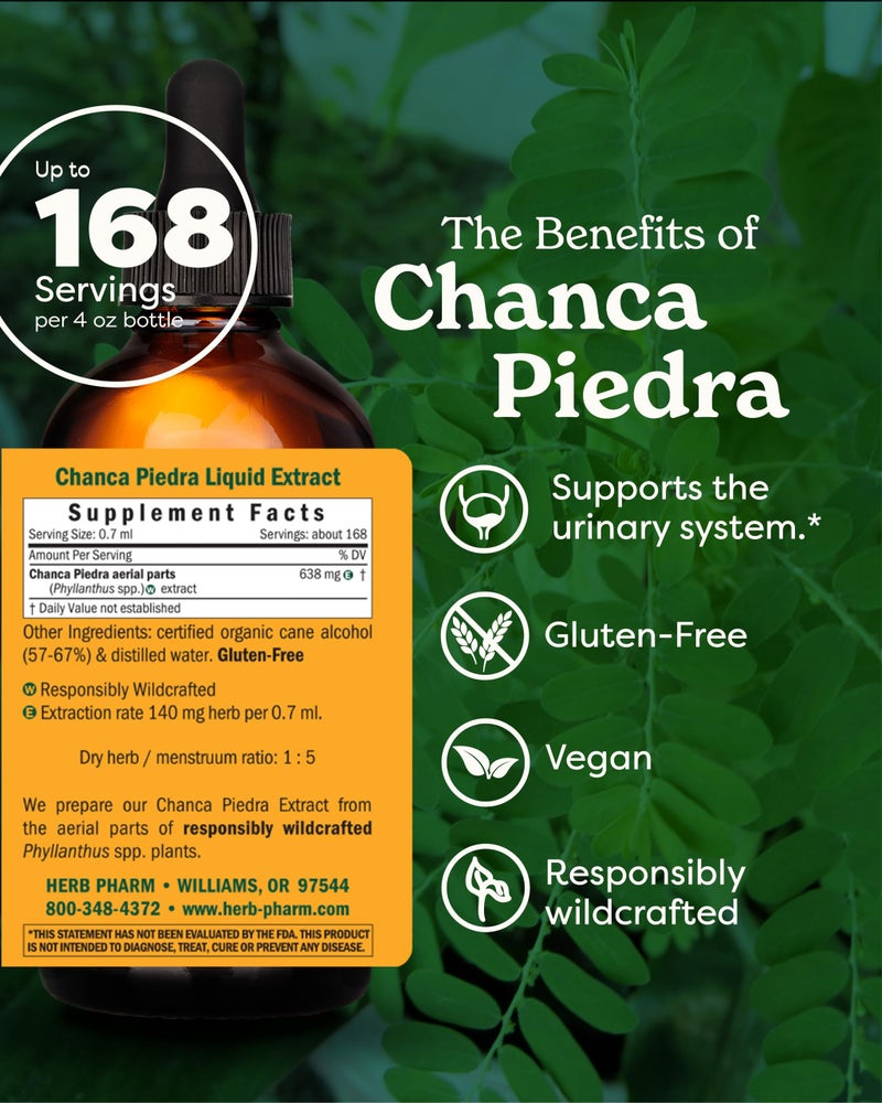 Herb Pharm Chanca Piedra Liquid Extract for Urinary System Support - 4 Ounce - Image 2
