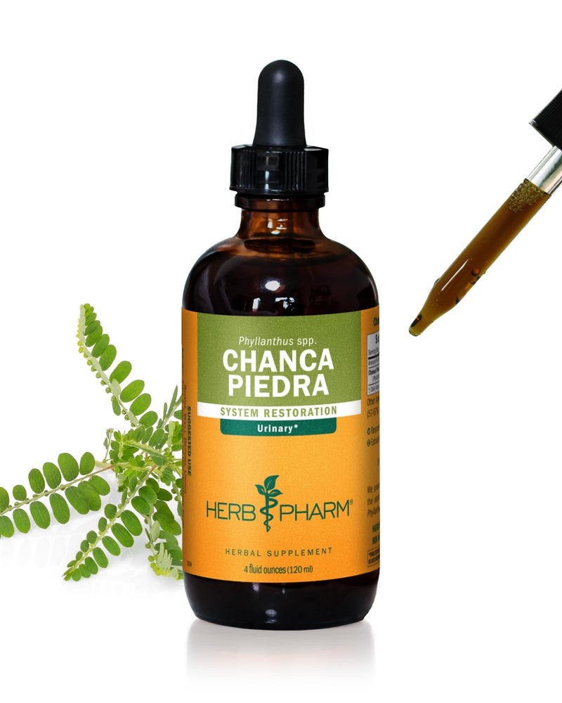 Herb Pharm Chanca Piedra Liquid Extract for Urinary System Support - 4 Ounce - Image 1