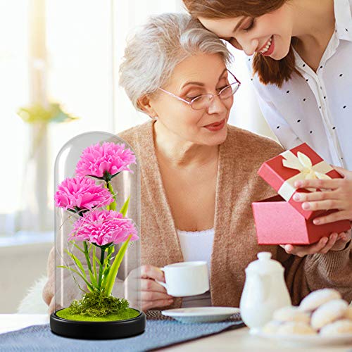 QUELIEN Mothers Day Carnation Gifts for Mom Carnation Flowers Gifts Pink Carnation in Glass Dome Valentine Gifts for Women Daughter Mom Wife Girlfriend - Image 3