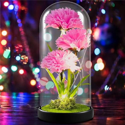 QUELIEN Mothers Day Carnation Gifts for Mom Carnation Flowers Gifts Pink Carnation in Glass Dome Valentine Gifts for Women Daughter Mom Wife Girlfriend - Image 2