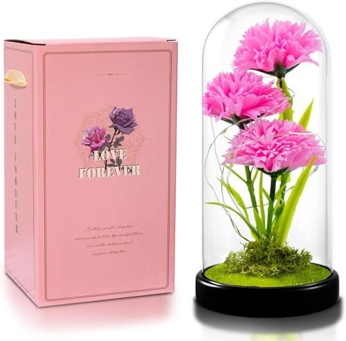 QUELIEN Mothers Day Carnation Gifts for Mom Carnation Flowers Gifts Pink Carnation in Glass Dome Valentine Gifts for Women Daughter Mom Wife Girlfriend - Image 1