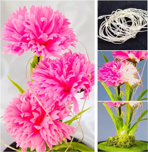 QUELIEN Mothers Day Carnation Gifts for Mom Carnation Flowers Gifts Pink Carnation in Glass Dome Valentine Gifts for Women Daughter Mom Wife Girlfriend - Image 4