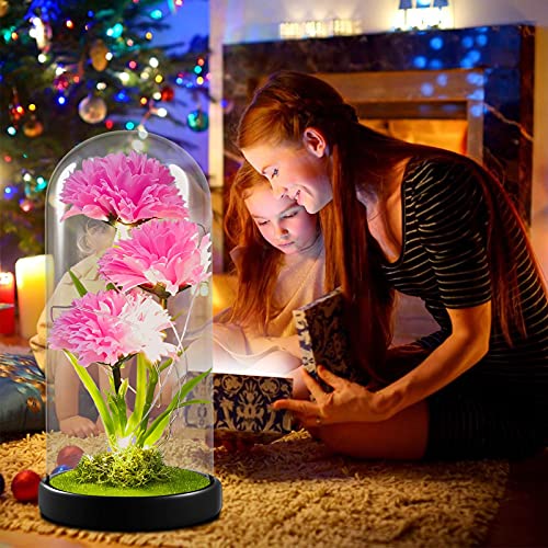 QUELIEN Mothers Day Carnation Gifts for Mom Carnation Flowers Gifts Pink Carnation in Glass Dome Valentine Gifts for Women Daughter Mom Wife Girlfriend - Image 5