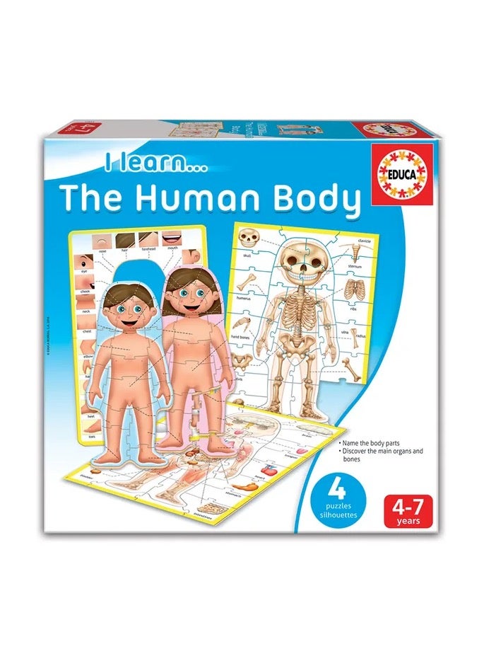 Educa- Jigsaw Puzzle ( 4 Set od Puzzles) I Learn The Human Body for Age 4 to 7 - Image 1