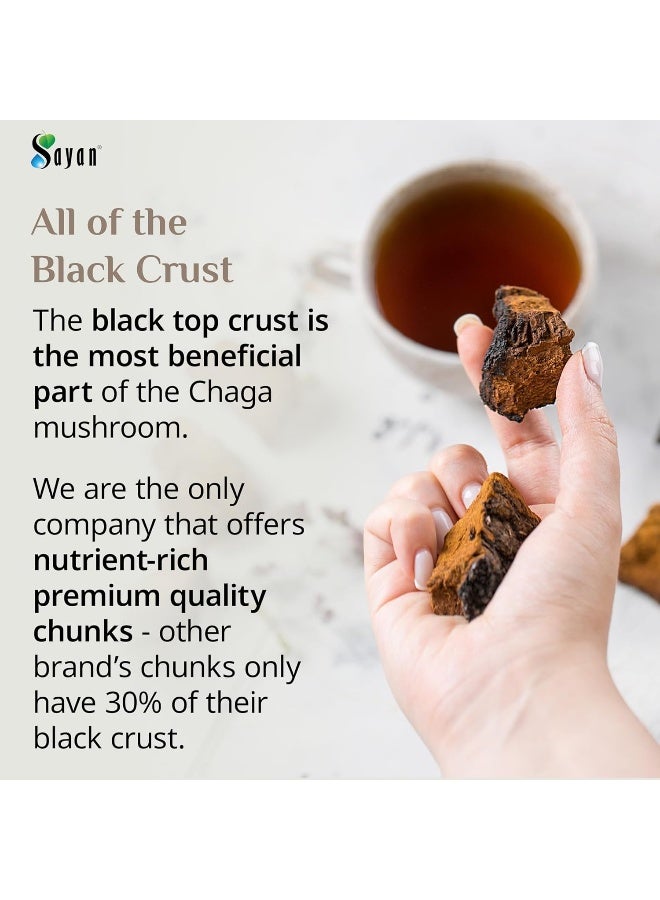 Sayan Siberian Pure Raw Chaga Mushroom Chunks with Black Top Crust 1 Lb / 454 g – Premium Wild-Harvested Antioxidant Tea for Immune System and Digestive Health - Image 2