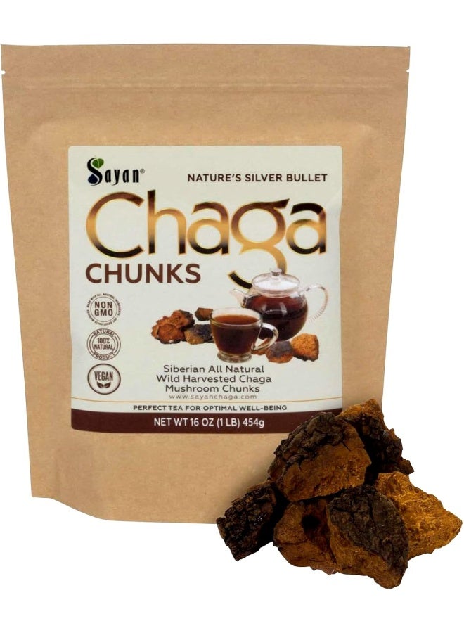 Sayan Siberian Pure Raw Chaga Mushroom Chunks with Black Top Crust 1 Lb / 454 g – Premium Wild-Harvested Antioxidant Tea for Immune System and Digestive Health - Image 1