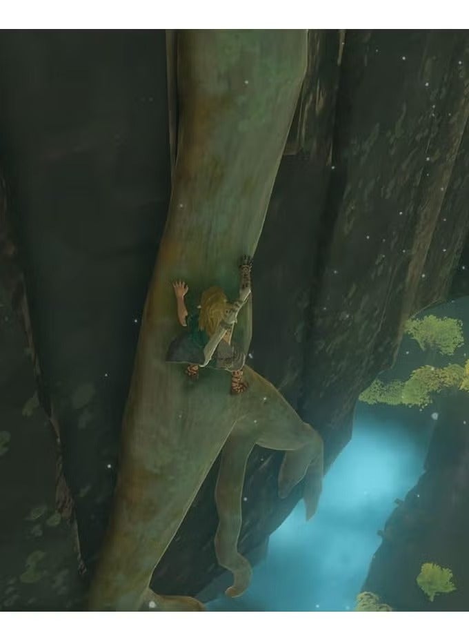 سويتش 0 لعبة ذا ليجند أوف زيلدا: تيرز أوف ذا كينجدوم - نينتندو سويتش 2 - Image 5