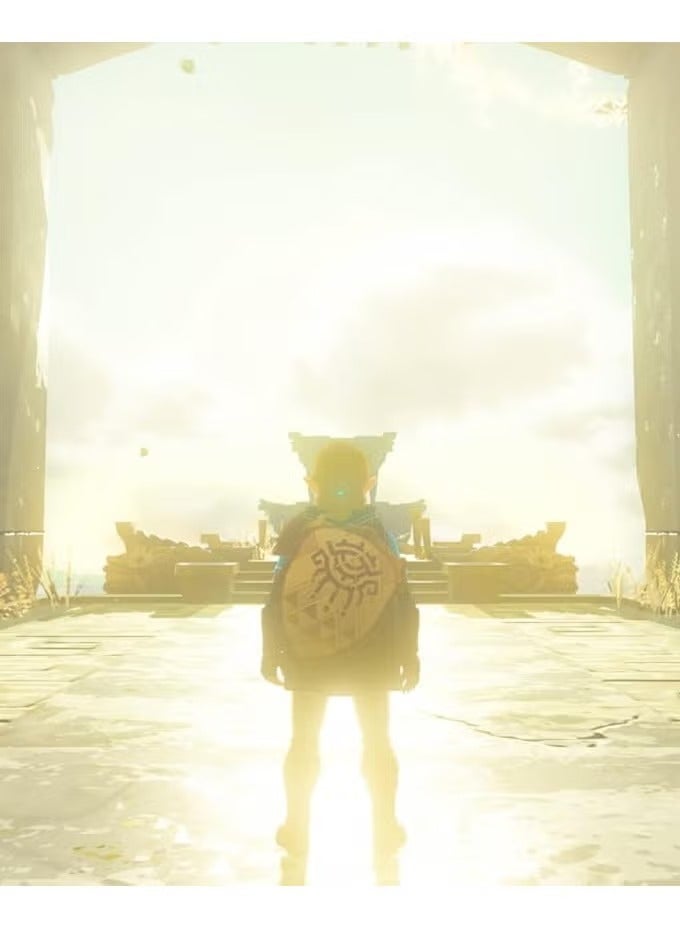 سويتش 0 لعبة ذا ليجند أوف زيلدا: تيرز أوف ذا كينجدوم - نينتندو سويتش 2 - Image 3