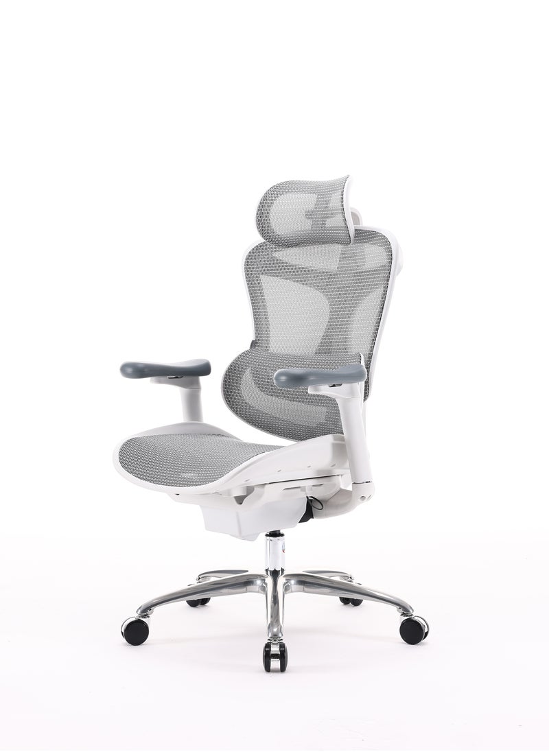 SIHOO Sihoo DORO C100-B102 officer manufacturer comfortable cumputer chair with 3D armrest  - Image 4
