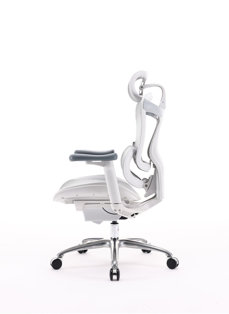 SIHOO Sihoo DORO C100-B102 officer manufacturer comfortable cumputer chair with 3D armrest  - Image 5