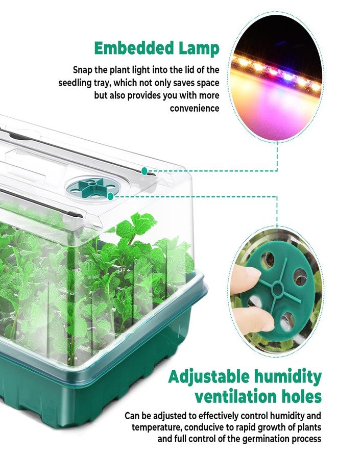 Ryscam Seed Starter Tray with Grow Light, 96-Cell Seed Starter Kit, Seedling Starter Trays with Humidity Domes, Automatic Timer, Adjustable Light Indoor Gardening Plant Germination Trays - Image 3
