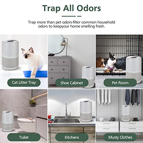 isinlive Core P350 Pet Care Replacement Filter for LEVOIT Core P350 Core 300 Air Purifier, 3-in-1 HEPA Filter Replacement, Part # Core P350-RF, 2 Pack - Image 3