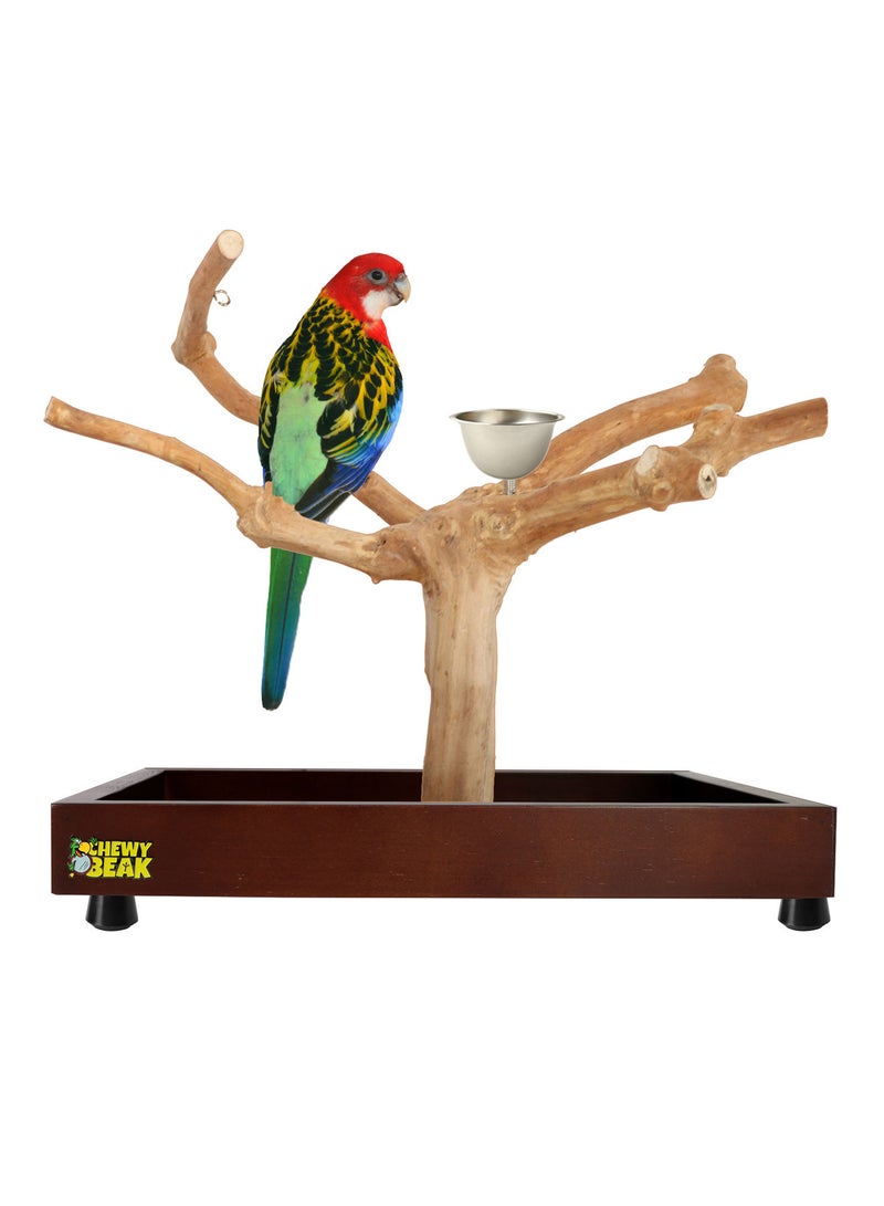 CHEWY BEAK Bird Stand Table Top Natural wooden Parrot Play Stand Indonesian Java wood Tree Perches with Stainless steel feeder small size - Image 1