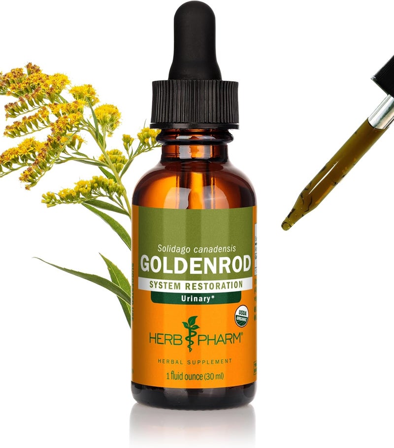 Herb Pharm Certified Organic Goldenrod Liquid Extract for Urinary System Support 1 Fl Oz Pack of 1 - Image 1