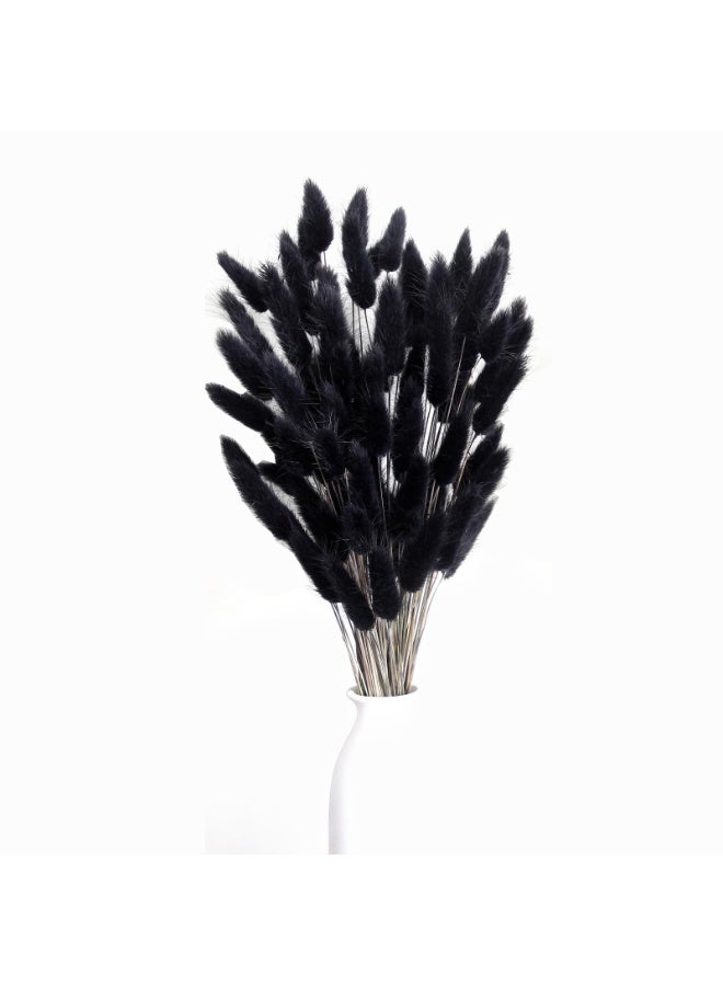 MirageBotanics 120Pcs Bunny Tails Dried Flowers, Dried Rabbit Tail Grass Bouquet, Table Decor, Dried bunny tails for Wedding, Home, Office, Patio, Rustic Party, Shower Decor120Pcs Bunny Tails Dried Flowers, Dried Rabbit Tail Grass Bouquet, Table Decor, Dried bunny tails for Wedding, Home, Office, Patio, Rustic Party, Shower Decor - Image 4