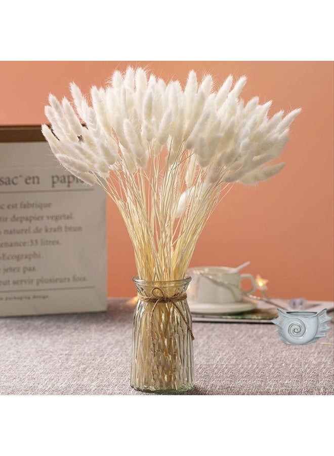 MirageBotanics 120Pcs Bunny Tails Dried Flowers, Dried Rabbit Tail Grass Bouquet, Table Decor, Dried bunny tails for Wedding, Home, Office, Patio, Rustic Party, Shower Decor120Pcs Bunny Tails Dried Flowers, Dried Rabbit Tail Grass Bouquet, Table Decor, Dried bunny tails for Wedding, Home, Office, Patio, Rustic Party, Shower Decor - Image 5