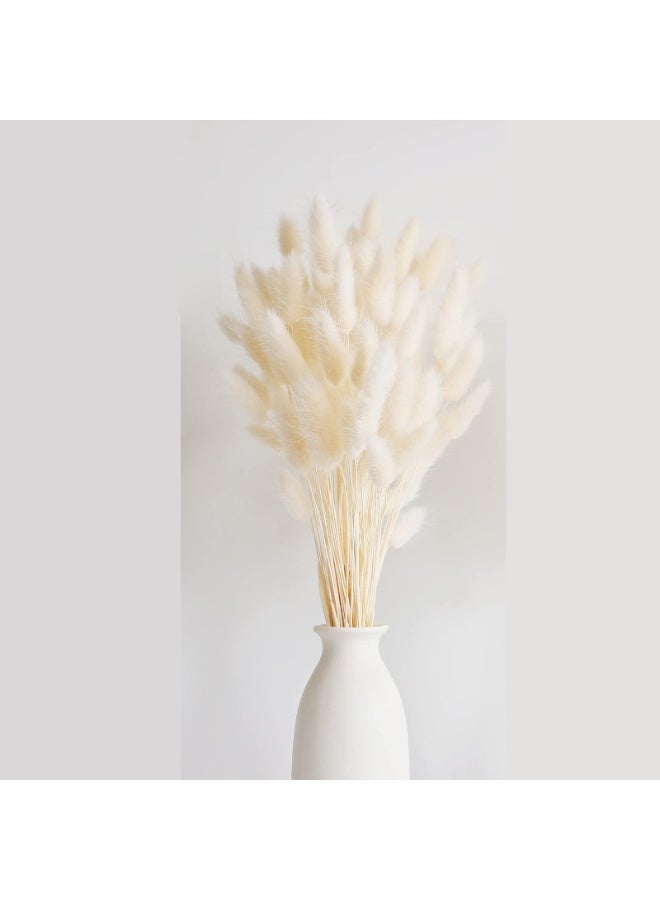 MirageBotanics 120Pcs Bunny Tails Dried Flowers, Dried Rabbit Tail Grass Bouquet, Table Decor, Dried bunny tails for Wedding, Home, Office, Patio, Rustic Party, Shower Decor120Pcs Bunny Tails Dried Flowers, Dried Rabbit Tail Grass Bouquet, Table Decor, Dried bunny tails for Wedding, Home, Office, Patio, Rustic Party, Shower Decor - Image 3