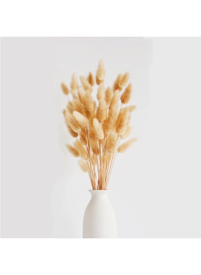 MirageBotanics 120Pcs Bunny Tails Dried Flowers, Dried Rabbit Tail Grass Bouquet, Table Decor, Dried bunny tails for Wedding, Home, Office, Patio, Rustic Party, Shower Decor120Pcs Bunny Tails Dried Flowers, Dried Rabbit Tail Grass Bouquet, Table Decor, Dried bunny tails for Wedding, Home, Office, Patio, Rustic Party, Shower Decor - Image 2