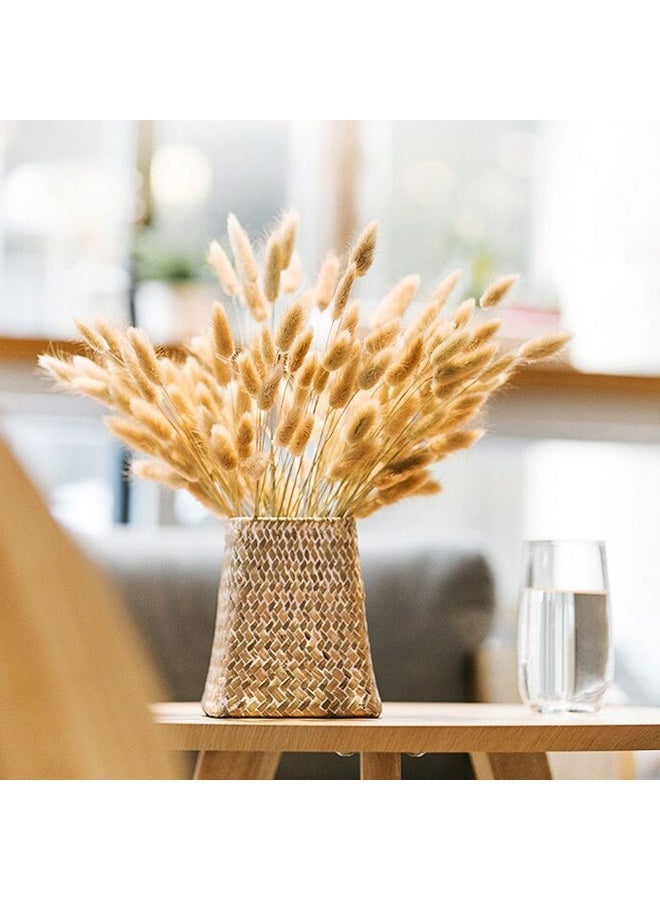 MirageBotanics 120Pcs Bunny Tails Dried Flowers, Dried Rabbit Tail Grass Bouquet, Table Decor, Dried bunny tails for Wedding, Home, Office, Patio, Rustic Party, Shower Decor120Pcs Bunny Tails Dried Flowers, Dried Rabbit Tail Grass Bouquet, Table Decor, Dried bunny tails for Wedding, Home, Office, Patio, Rustic Party, Shower Decor - Image 1