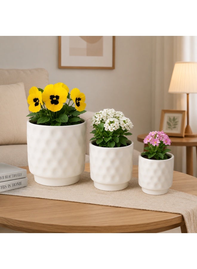 Lacoz Set of 3 Textured Plant Pots with Modern Minimalist Design for Indoor & Outdoor Use Decorative Flower Pots for Home, Office, Balcony, Patio & Garden White - Image 3