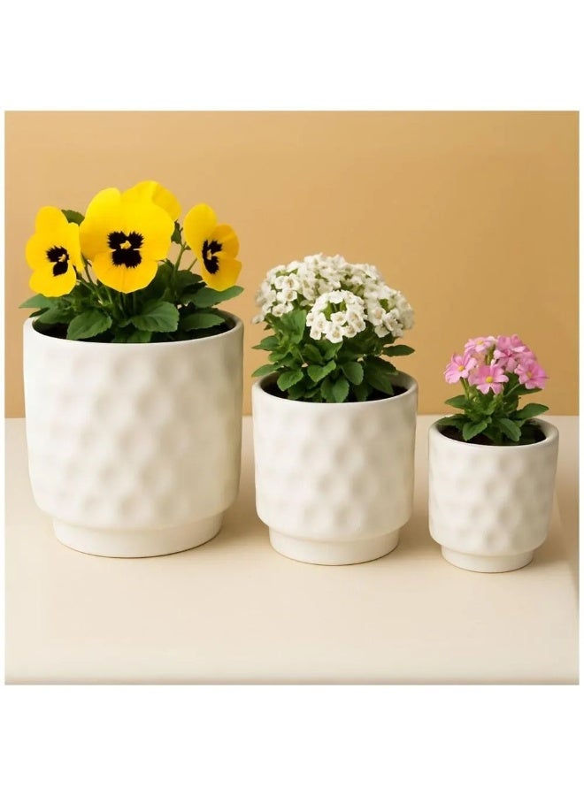 Lacoz Set of 3 Textured Plant Pots with Modern Minimalist Design for Indoor & Outdoor Use Decorative Flower Pots for Home, Office, Balcony, Patio & Garden White - Image 2