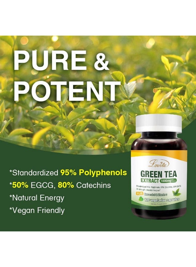 Lovita Green Tea Extract 1000mg (120 Count) - Image 3