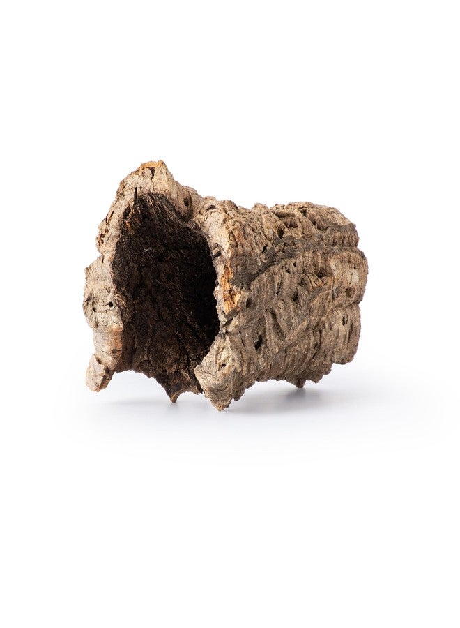 Galapagos Galápagos (05505) Natural Cork Bark for Reptiles – Ideal for Bearded Dragons, Snakes, and Geckos – Climbing Accessory for Terrariums, Turtle Tanks, and Bird Cages, Tube 7” – 9”, Natural - Image 1