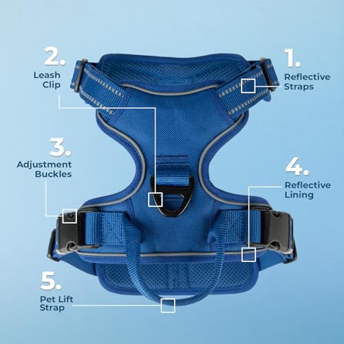 Voyager No Pull Dog Harness for Medium and Large Dogs, Dual Leash Attachments, Adjustable Soft but Strong Pet Harness with 3M Reflective Technology, Royal Blue Lattice Nylon, L (Chest: 25 - 30") - Image 2