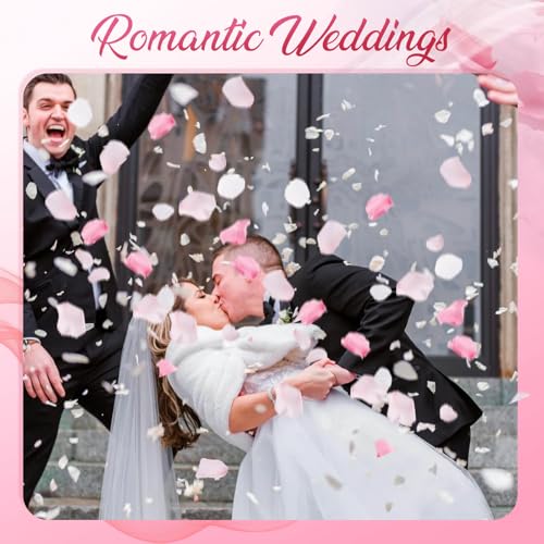 Eslibin 180 PCS Real Pink White Rose Flower Petals Confetti for Wedding to Throw, 1.75oz Freeze Dried Rose Petal for Proposal Centerpieces Romantic Night Decor - Image 3