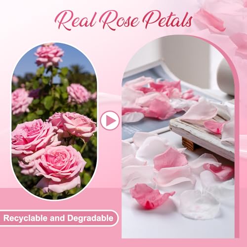 Eslibin 180 PCS Real Pink White Rose Flower Petals Confetti for Wedding to Throw, 1.75oz Freeze Dried Rose Petal for Proposal Centerpieces Romantic Night Decor - Image 4