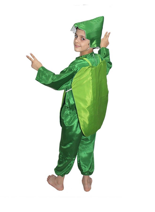Kaku Fancy Dresses Kaku Fancy Dresses Polyester Capsicum Vegetables Costume -Green, 5-6 Years, for Boys & Girls  - Image 4