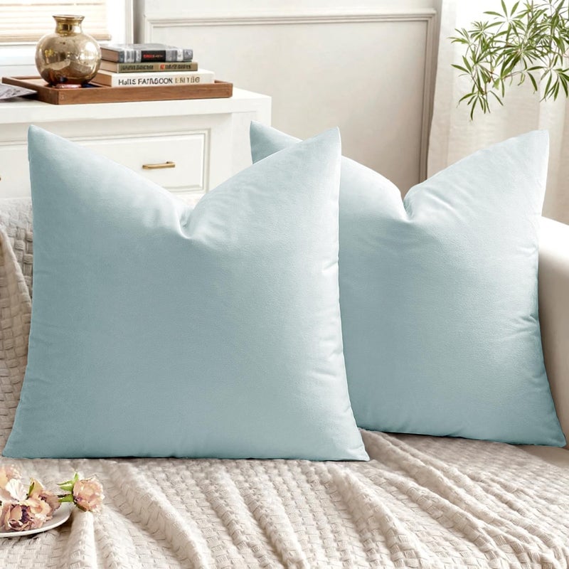 Set of 2 Velvet Throw Pillow Covers Soft Thick Cushion Covers Square Cushion Cases for Sofa Couch Bedroom Living Room