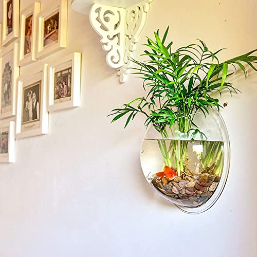 VAYINATO® Acrylic Wall Hanging Bowl for Fish and Indoor Water Plants 9 Inch White Colour by Petzlifeworld - Image 5
